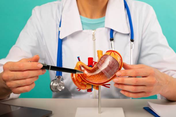 woman doctor pointing at stomach mockup